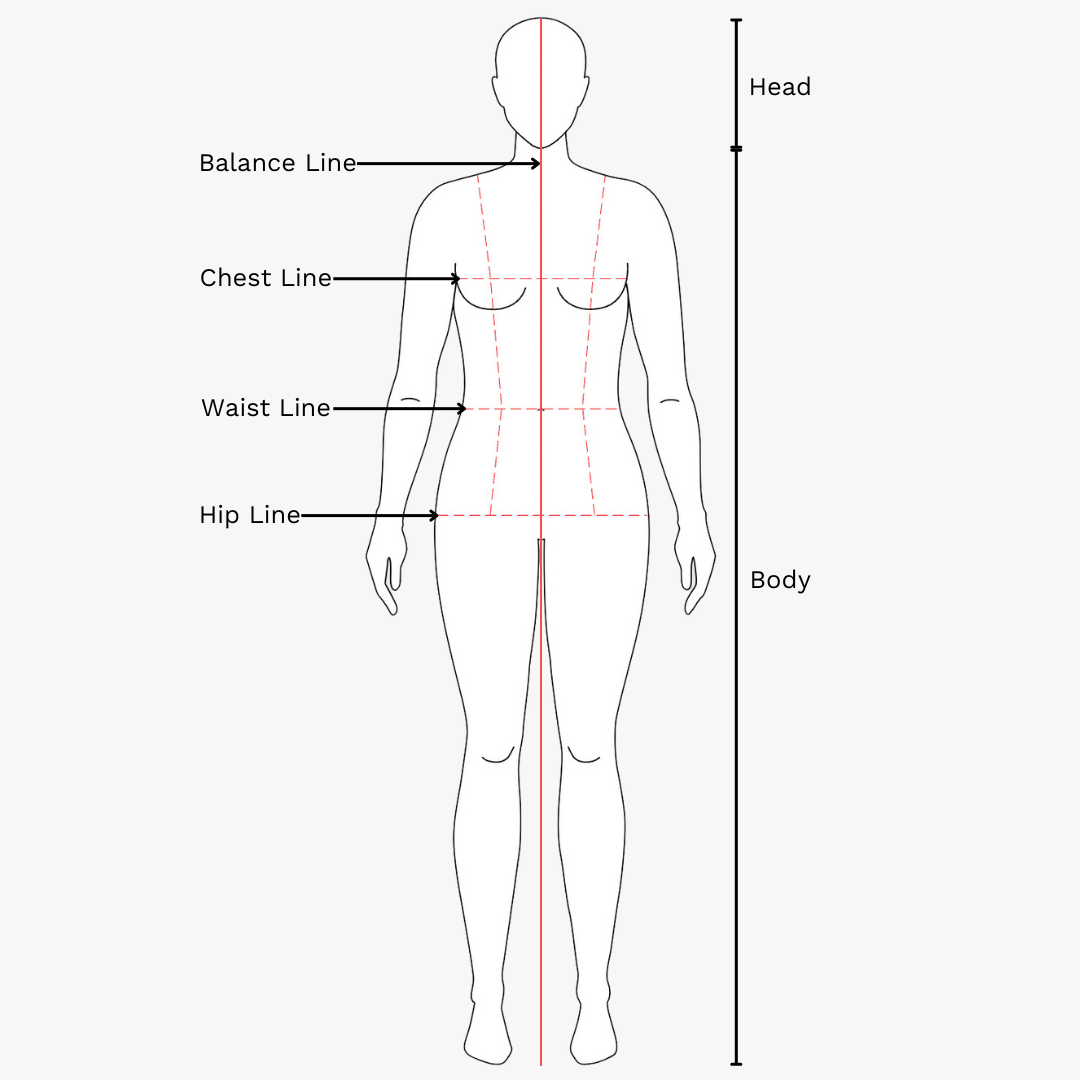 Basic proportions and anatomy of croquis.